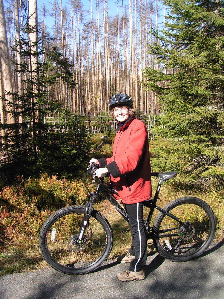 šumava 004