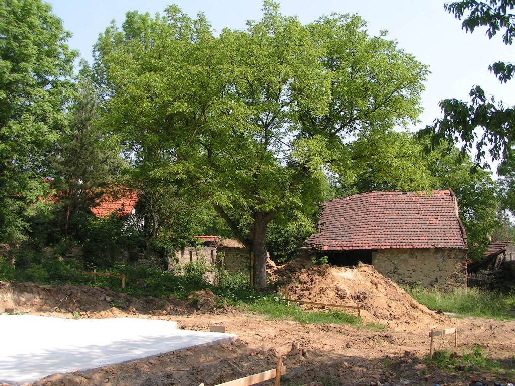 ořech a stodola ještě stojí