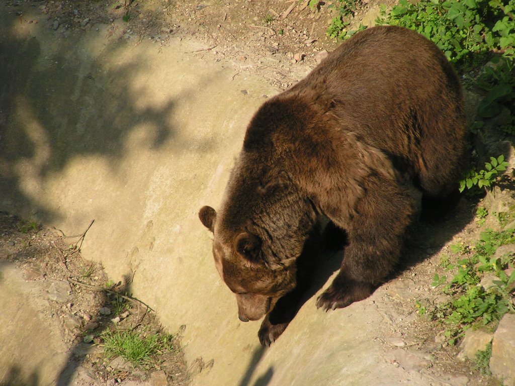točník 078.jpg