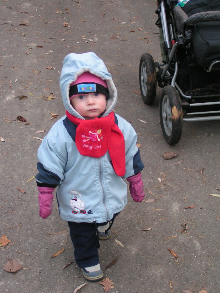 dendro 060.jpg