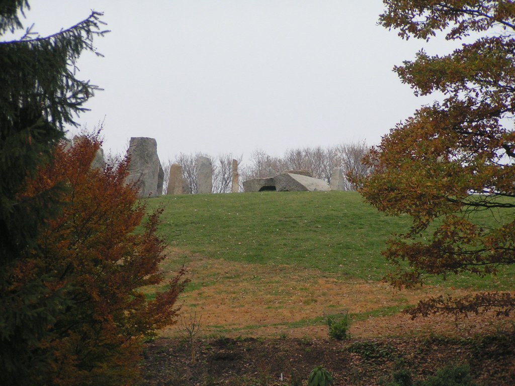 dendro 078.jpg