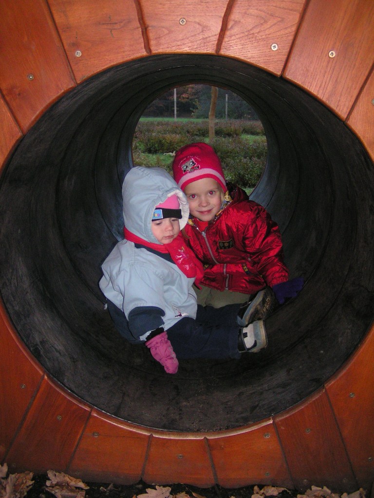 dendro 109.jpg