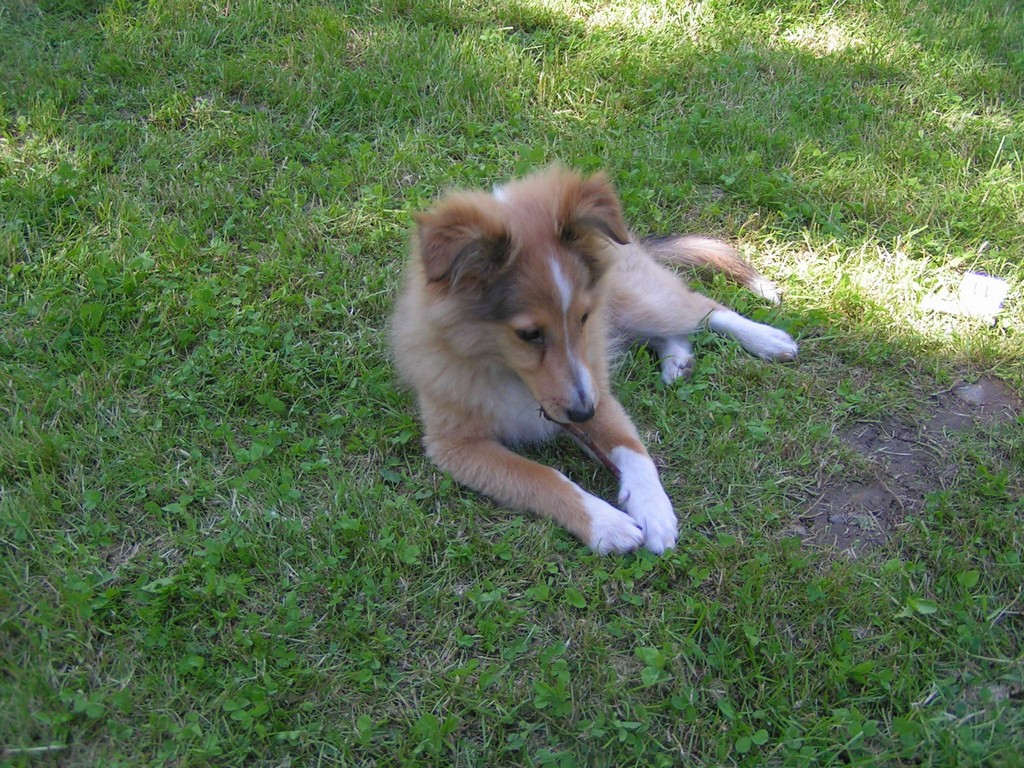 babi 85 062.jpg