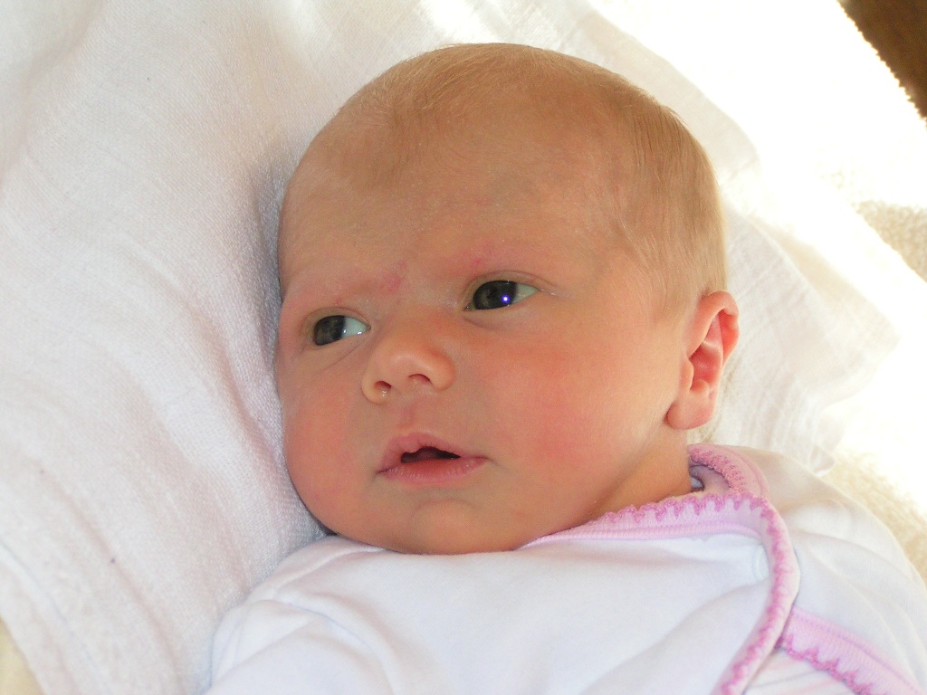johanka 019